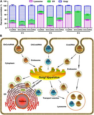 RNA Drug Delivery Using Biogenic Nanovehicles for Cancer Therapy